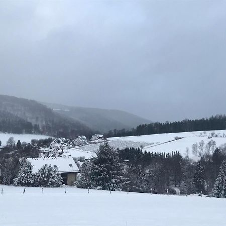 Appartement Familie Willems Winterberg 2 Luaran gambar