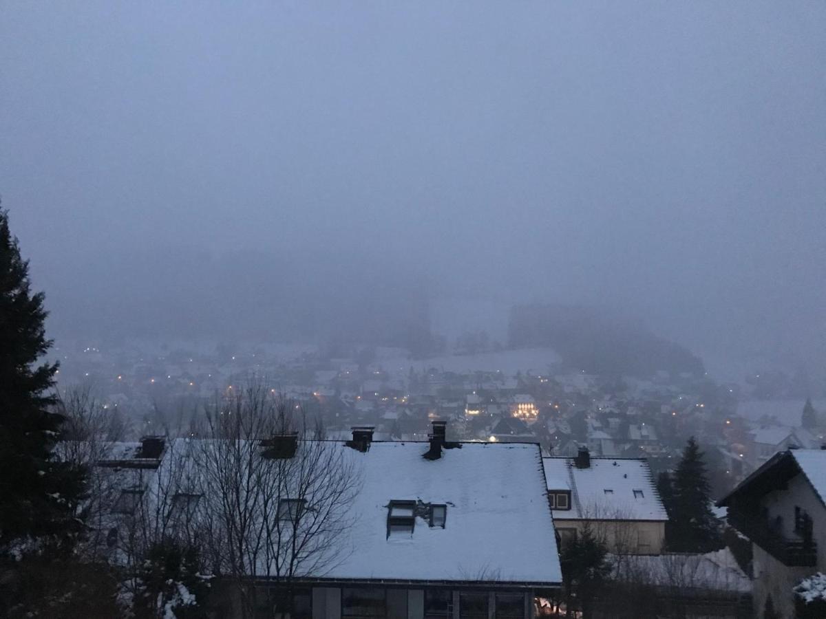 Appartement Familie Willems Winterberg 2 Luaran gambar