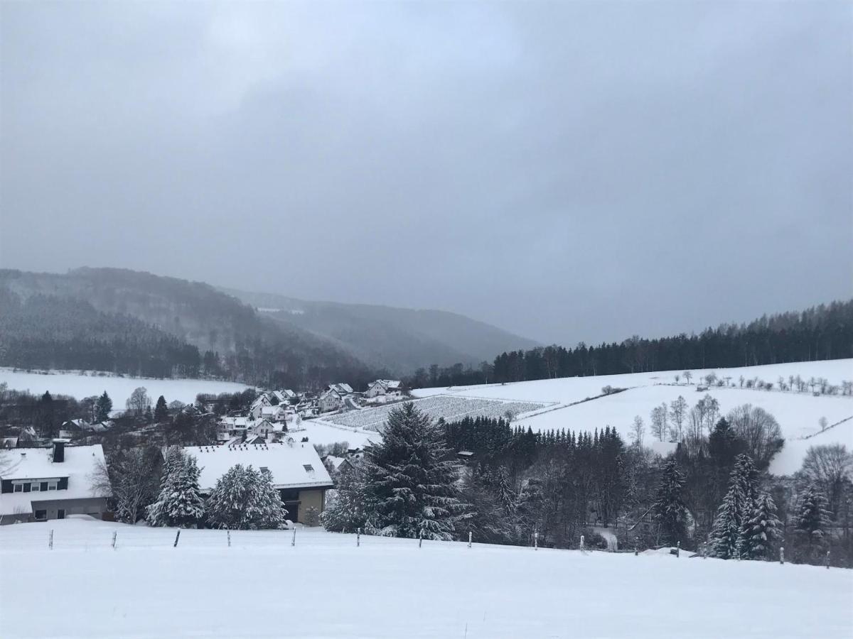 Appartement Familie Willems Winterberg 2 Luaran gambar